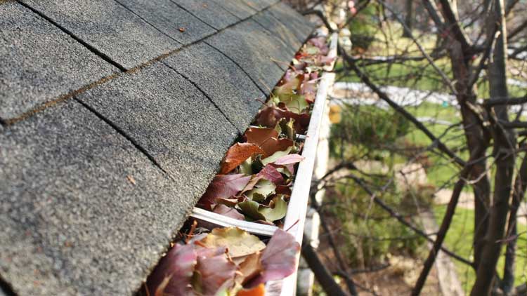 Glide-force - expert gutter cleaning service in Knoxville TN