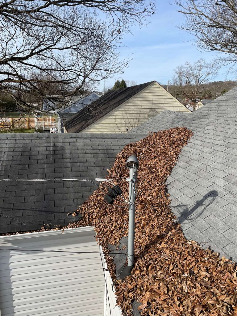 Picture of gutter before cleaning service