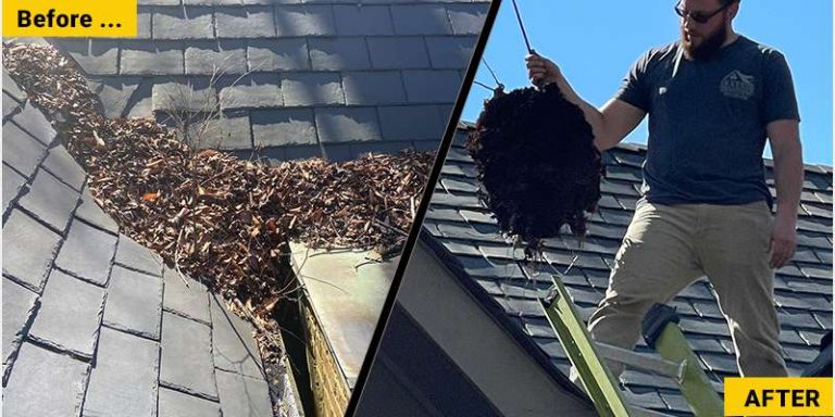 before-after_Roof-Cleaning-With-Growing-Tree
